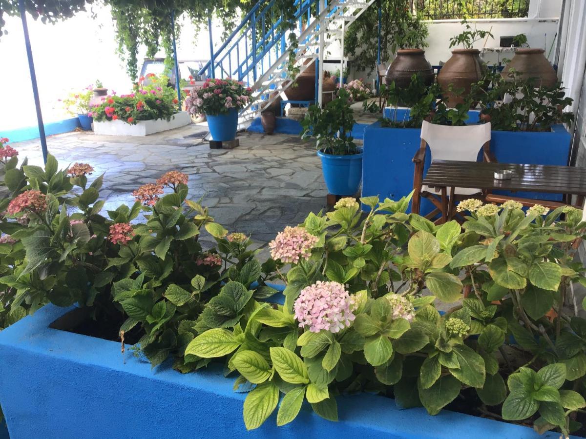 Villa Maria Kamariotissa Екстериор снимка