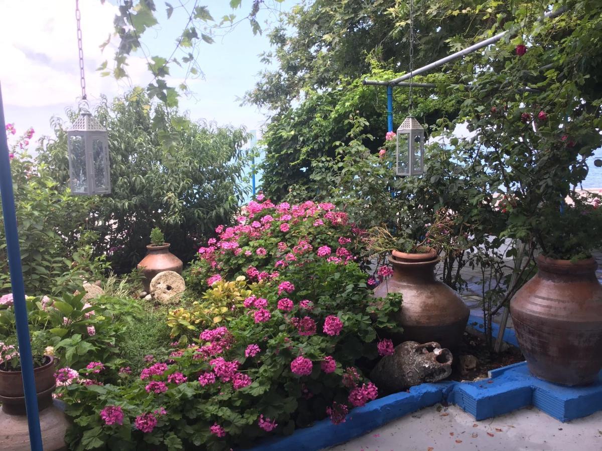 Villa Maria Kamariotissa Екстериор снимка