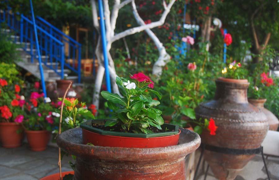 Villa Maria Kamariotissa Екстериор снимка